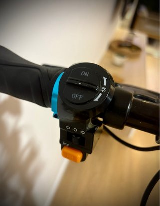 Patinete Eléctrico SmartGyro Rockway