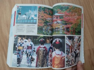 Japón