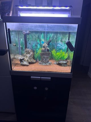 Acuario Fluval con Mueble