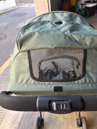 Silla de paseo ligera y compacta Joie Pact (color
