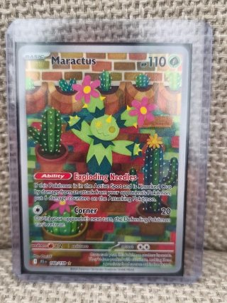 Maractus 160/159