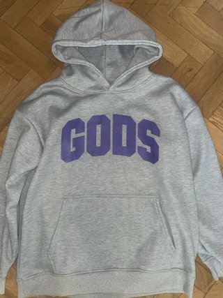 Sudadera Fakegods Gris