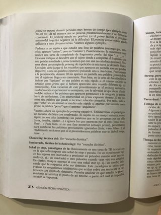 Atención Teoría y práctica