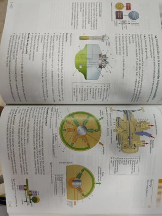 Libro Circuitos de fluidos. Suspensión y dirección