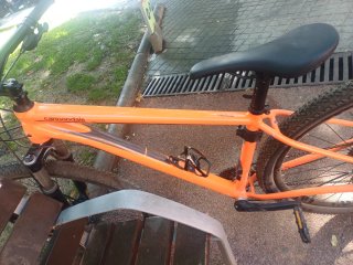 Bicicleta Cannondale Trail 29 pulgadas