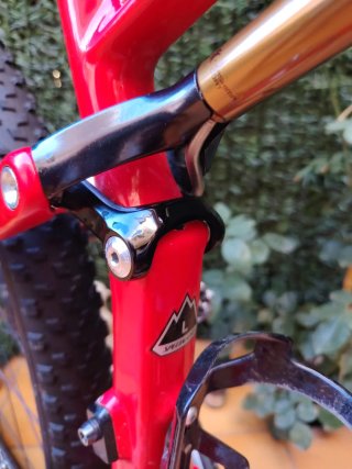 Bicicleta Specialized S-Works Epic Talla L