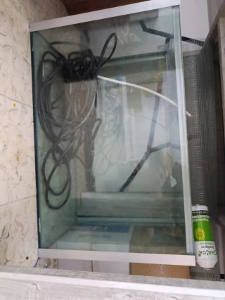Pecera XL para peces domésticos