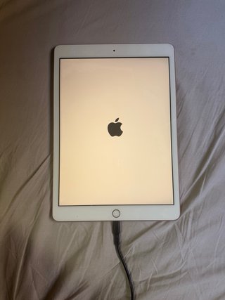 iPad 8ª Generación Blanco