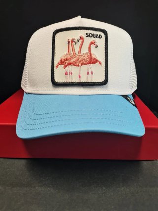 Gorra Goorin Bros Squad Flamencos Talla única.