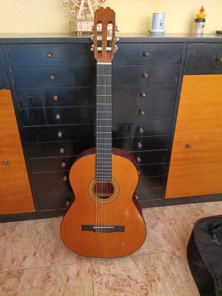 Guitarra Admira Paloma Adulto + Funda