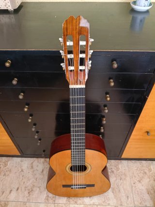 Guitarra Admira Paloma Adulto + Funda
