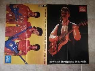 Póster Bowie / Prince /Madonna / Tina Turner