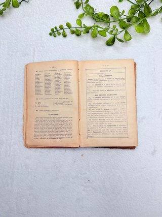 Gramática Castellana antigua – F. T. D. – 1914