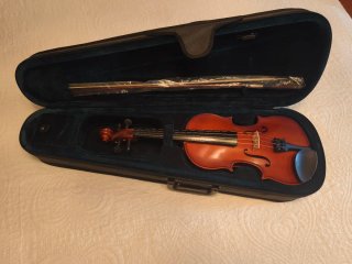Viola con estuche y arco