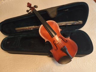 Viola con estuche y arco