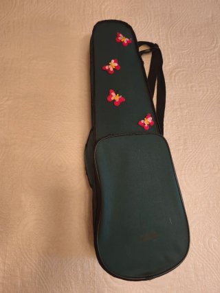 Viola con estuche y arco