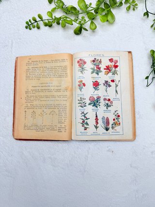 Libro antiguo “Elementos de Ciencias Físico Natura