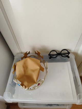 ACCESORIOS DISFRAZ