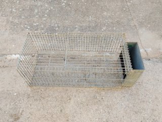 Jaulas para conejos