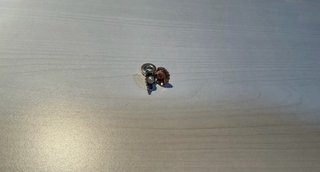 Pulsera Pandora Moments plata S925 ALE, talla 19cm