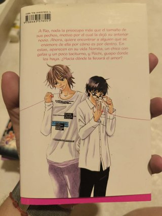 Mix de mangas románticos