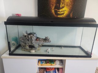 Pecera grande 120l con decoración de barco