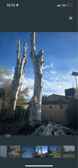 Espacio exterior con jardín