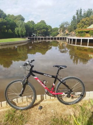 Bicicleta Massi Over Speed