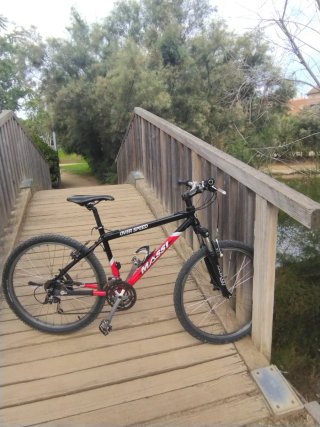 Bicicleta Massi Over Speed