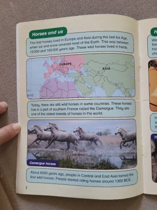 Inglés para niños: Horses
