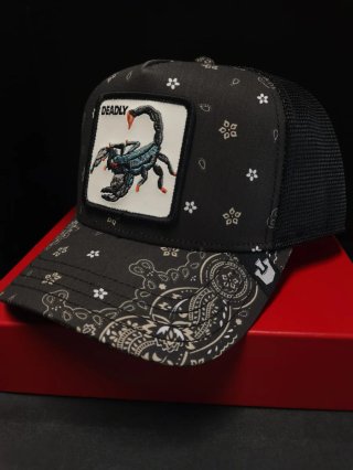 Gorra Goorin Bros Scorpion Talla única.