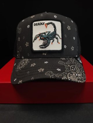Gorra Goorin Bros Scorpion Talla única.
