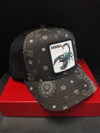 Gorra Goorin Bros Scorpion Talla única.