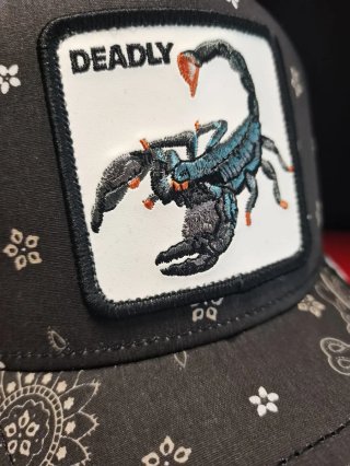 Gorra Goorin Bros Scorpion Talla única.