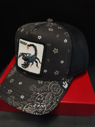Gorra Goorin Bros Scorpion Talla única.