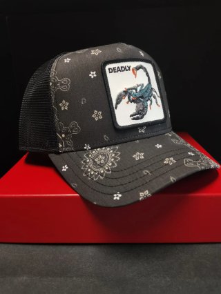 Gorra Goorin Bros Scorpion Talla única.