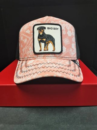 Gorra Goorin Bros Bad Boym Talla única adulto