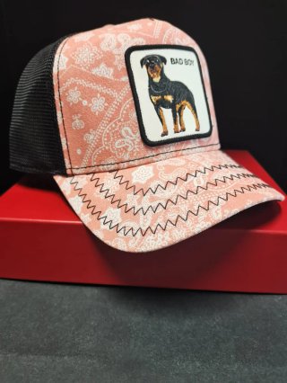 Gorra Goorin Bros Bad Boym Talla única adulto