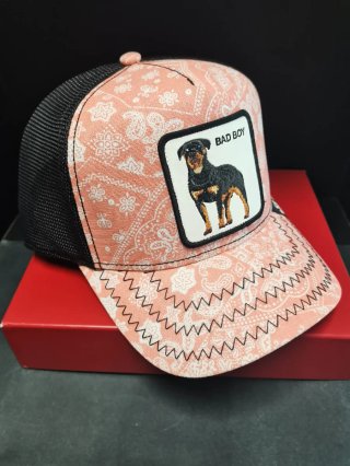 Gorra Goorin Bros Bad Boym Talla única adulto