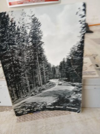 Cartolina Carolina del dopoguerra