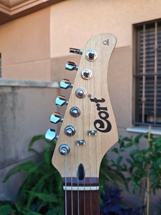 Guitarra Eléctrica Cort G100 Stratocaster + Funda