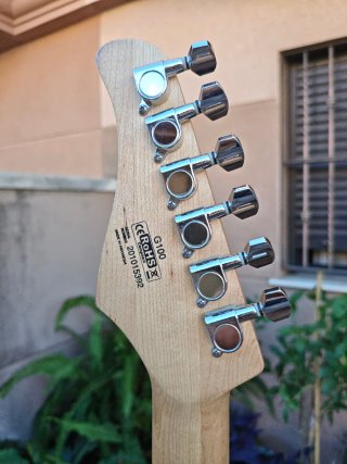 Guitarra Eléctrica Cort G100 Stratocaster + Funda