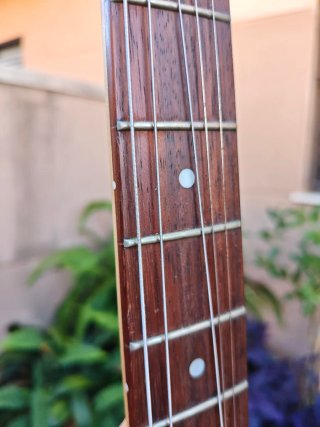 Guitarra Eléctrica Cort G100 Stratocaster + Funda
