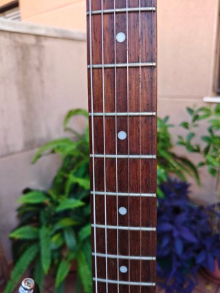 Guitarra Eléctrica Cort G100 Stratocaster + Funda