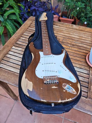 Guitarra Eléctrica Cort G100 Stratocaster + Funda