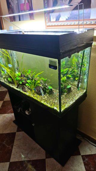 Acuario 250L con mueble y accesorios