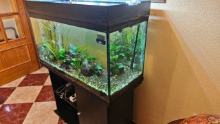 Acuario 250L con mueble y accesorios