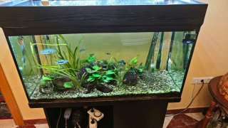 Acuario 250L con mueble y accesorios