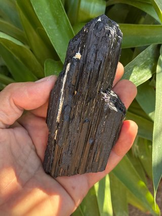 Turmalina Negra Mineral