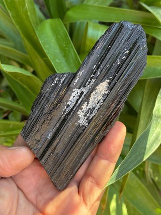 Turmalina Negra Mineral